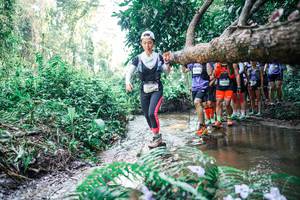 BIB: 
                            <button type="button" onclick="openModal(25465607)" class="btn btn-primary btn-sm float-right btn-popup" data-toggle="modal" data-target=".modal-high-quality">
                        <i class="fas fa-shopping-cart"></i> Add to Cart
                    </button>
                                            <button type="button" onclick="isThisMe(25465607, true)" class="btn btn-success btn-sm float-right btn-popup btn-isme hidden" data-toggle="tooltip" data-placement="bottom" title="นี่คือรูปของคุณใช่ไหม คลิกที่นี่เพื่อเอาเข้าอัลบั้ม">
                        <i class="fas fa-plus"></i> Add to album
                    </button>
                    <button type="button" onclick="isThisMe(25465607, false)" class="btn btn-warning btn-sm float-right btn-popup btn-isnotme hidden">
                        <i class="fas fa-ban"></i> Remove from album
                    </button>